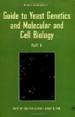 Guide to Yeast Genetics and Molecular and Cell Biology, Part B - ISBN 9780123106711