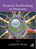 Protein Trafficking in Neurons - ISBN 9780123694379