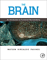 The Brain: An Introduction to Functional Neuroanatomy - ISBN 9780123738899