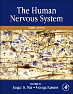 The Human Nervous System - ISBN 9780123742360