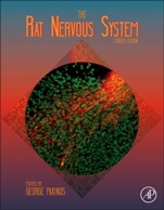 The Rat Nervous System - ISBN 9780123742452