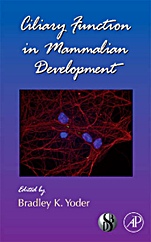 Ciliary Function in Mammalian Development - ISBN 9780123744531
