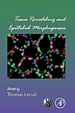 Tissue Remodeling and Epithelial Morphogenesis - ISBN 9780123749024