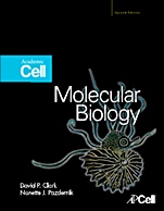 Molecular Biology - ISBN 9780123785947
