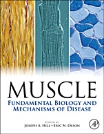 Muscle 2-Volume Set: Fundamental Biology and Mechanisms of Disease - ISBN 9780123815101
