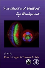 Invertebrate and Vertebrate Eye Development - ISBN 9780123850447