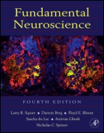 Fundamental Neuroscience - ISBN 9780123858702