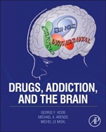 Drugs, Addiction, and the Brain - ISBN 9780123869371