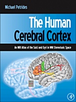 The Human Cerebral Cortex: An MRI Atlas of the Sulci and Gyri in MNI Stereotaxic Space - ISBN 9780123869388