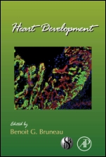 Heart Development - ISBN 9780123877864