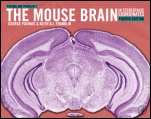 Paxinos and Franklins the Mouse Brain in Stereotaxic Coordinates - ISBN 9780123910578