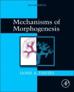 Mechanisms of Morphogenesis - ISBN 9780123910622