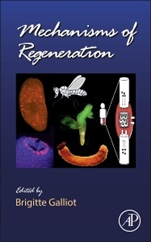 Mechanisms of Regeneration - ISBN 9780123914989