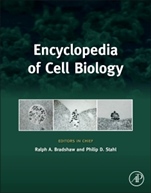 Encyclopedia of Cell Biology - ISBN 9780123944474