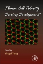 Planar Cell Polarity During Development - ISBN 9780123945921