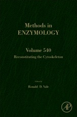 Reconstituting the Cytoskeleton - ISBN 9780123979247