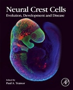 Neural Crest Cells: Evolution, Development and Disease - ISBN 9780124017306