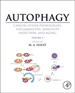 Autophagy: Cancer, Other Pathologies, Inflammation, Immunity, Infection, and Aging: Volume 4 - Mitophagy - ISBN 9780124055285