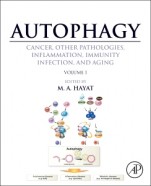Autophagy: Cancer, Other Pathologies, Inflammation, Immunity, Infection, and Aging: Volume 1 - Molecular Mechanisms - ISBN 9780124055308