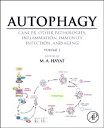 Autophagy: Cancer, Other Pathologies, Inflammation, Immunity, Infection, and Aging: Volume 2 - Role in General Diseases - ISBN 9780124058774