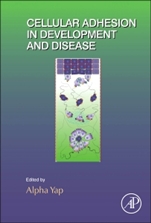 Cellular Adhesion in Development and Disease - ISBN 9780124077584