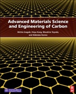 Advanced Materials Science and Engineering of Carbon - ISBN 9780124077898
