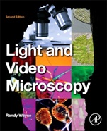 Light and Video Microscopy - ISBN 9780124114845