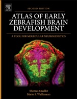Atlas of Early Zebrafish Brain Development: A Tool for Molecular Neurogenetics - ISBN 9780124186699