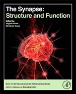 The Synapse: Structure and Function - ISBN 9780124186750