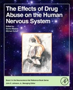 The Effects of Drug Abuse on the Human Nervous System - ISBN 9780124186798