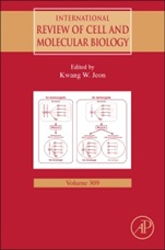 International Review of Cell and Molecular Biology - ISBN 9780128002551