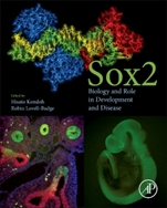 Sox2: Biology and Role in Development and Disease - ISBN 9780128003527