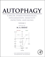 Autophagy: Cancer, Other Pathologies, Inflammation, Immunity, Infection, and Aging: Volume 5 - Role in Human Diseases - ISBN 9780128010334