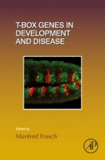 T-box Genes in Development and Disease - ISBN 9780128013809
