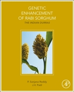 Genetic Enhancement of Rabi Sorghum: Adapting the Indian Durras - ISBN 9780128019269