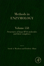 Structures of Large RNA Molecules and Their Complexes - ISBN 9780128019344
