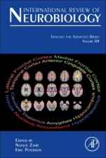 Imaging the Addicted Brain - ISBN 9780128039144
