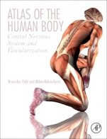 Atlas of the Human Body: Central Nervous System and Vascularization - ISBN 9780128094105