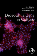 Drosophila Cells in Culture - ISBN 9780128094730