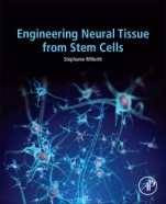Engineering Neural Tissue from Stem Cells - ISBN 9780128113851