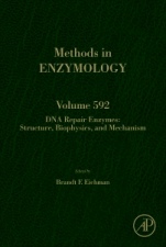 DNA Repair Enzymes: Structure, Biophysics, and Mechanism - ISBN 9780128125151