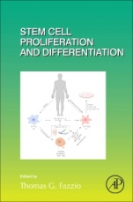 Stem Cell Proliferation and Differentiation - ISBN 9780128128909