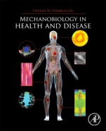 Mechanobiology in Health and Disease - ISBN 9780128129524