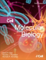 Molecular Biology - ISBN 9780128132883