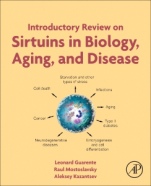 Introductory Review on Sirtuins in Biology, Aging, and Disease - ISBN 9780128134993