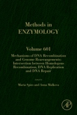 Mechanisms of DNA Recombination and Genome Rearrangements: Intersection Between Homologous Recombination, DNA Replication and DNA Repair - ISBN 9780128139790