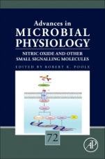 Nitric Oxide and Other Small Signalling Molecules - ISBN 9780128144138