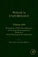 Mechanisms of DNA Recombination and Genome Rearrangements: Methods to Study Homologous Recombination - ISBN 9780128144299