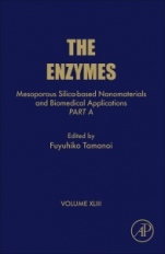 Mesoporous Silica-based Nanomaterials and Biomedical Applications - Part A - ISBN 9780128151129