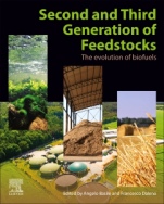 Second and Third Generation of Feedstocks: The Evolution of Biofuels - ISBN 9780128151624